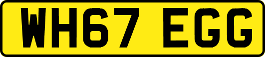 WH67EGG