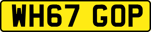 WH67GOP