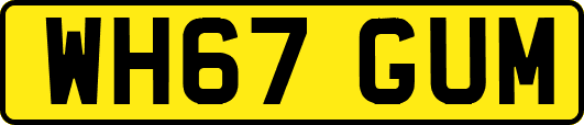 WH67GUM