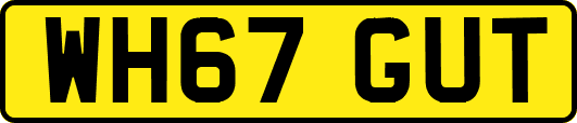 WH67GUT
