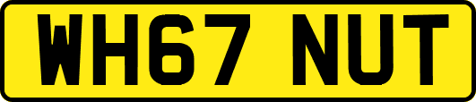 WH67NUT