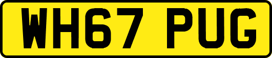 WH67PUG