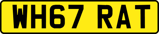 WH67RAT