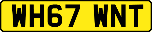 WH67WNT