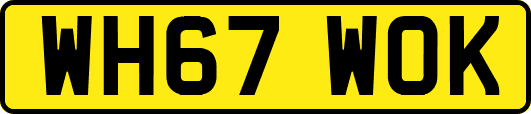 WH67WOK