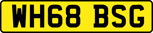 WH68BSG