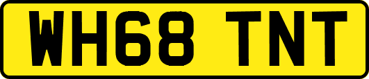 WH68TNT