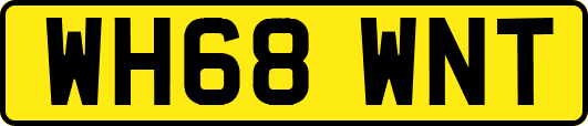WH68WNT