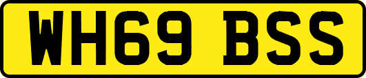 WH69BSS
