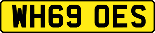 WH69OES