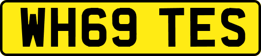 WH69TES