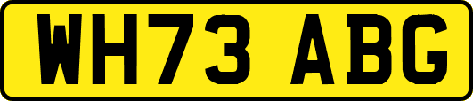 WH73ABG
