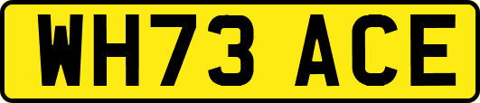 WH73ACE