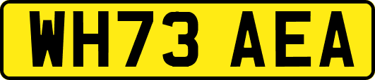 WH73AEA