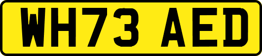 WH73AED