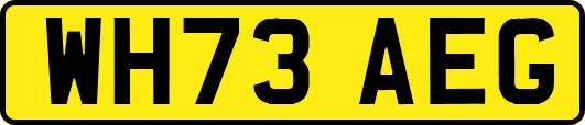 WH73AEG