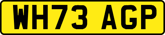 WH73AGP