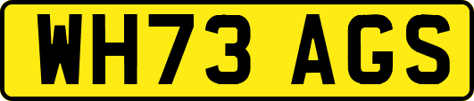 WH73AGS