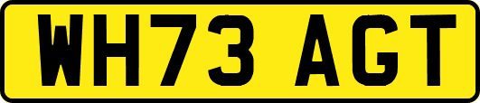 WH73AGT