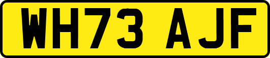 WH73AJF