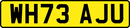 WH73AJU