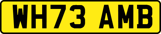 WH73AMB