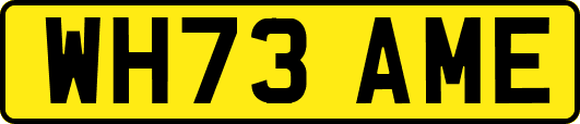 WH73AME