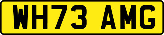WH73AMG