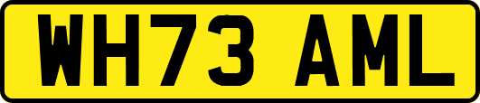 WH73AML