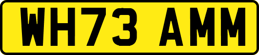 WH73AMM