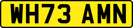 WH73AMN