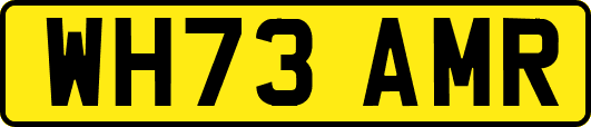 WH73AMR
