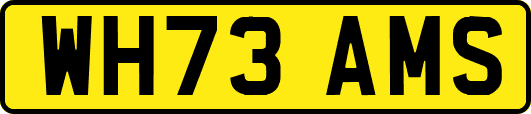 WH73AMS
