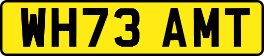WH73AMT
