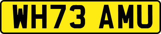 WH73AMU
