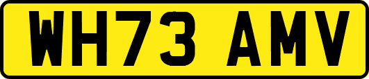 WH73AMV