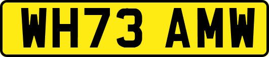 WH73AMW