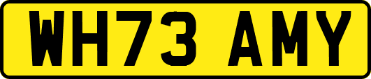 WH73AMY