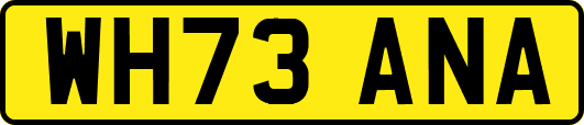 WH73ANA