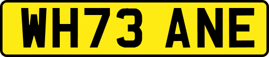 WH73ANE