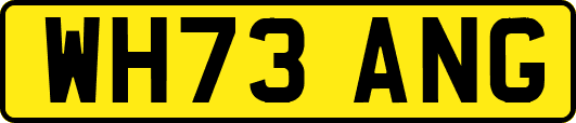 WH73ANG