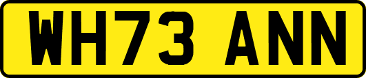 WH73ANN