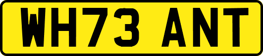 WH73ANT