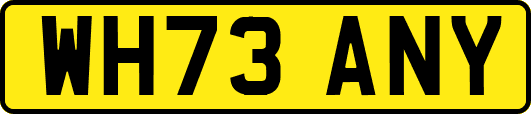 WH73ANY
