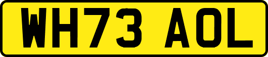 WH73AOL