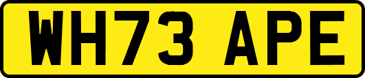 WH73APE