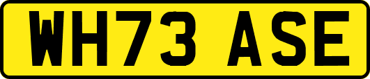 WH73ASE