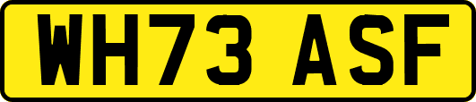 WH73ASF