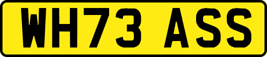 WH73ASS