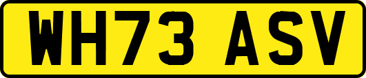 WH73ASV